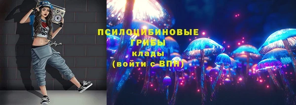 каннабис Аркадак