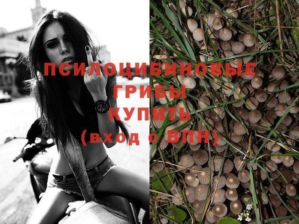 амф Алексеевка