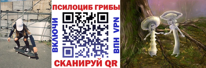 Псилоцибиновые грибы мицелий  Купить  Петровск 